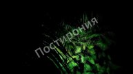 Интро на заказ №11