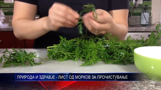 ПРИРОДА И ЗДРАВЈЕ   ЛИСТ ОД МОРКОВ ЗА ПРОЧИСТУВАЊЕ 26 08 2017