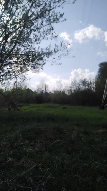 Маленькая деревня в городе.