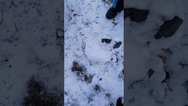 Я рассказываю про сниговика которого мы лепили с бабушкой Валей