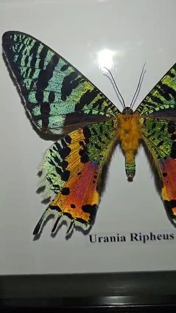 очень классно и красиво