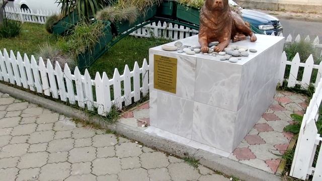 Легендарному лазаревскому пёсику-Шарику посвящается