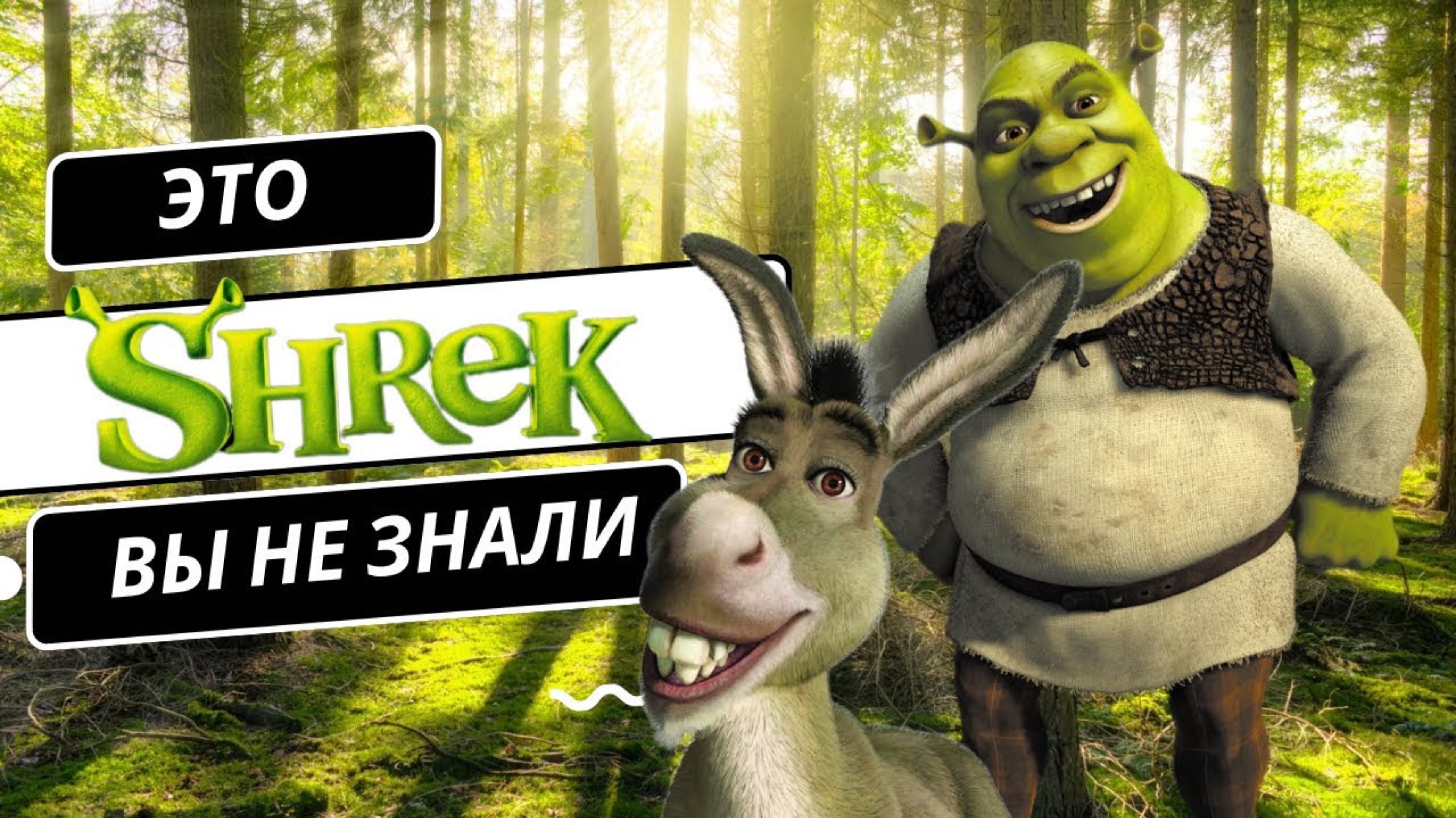 Шрек мультфильм. Чего вы не знали. Интересные факты