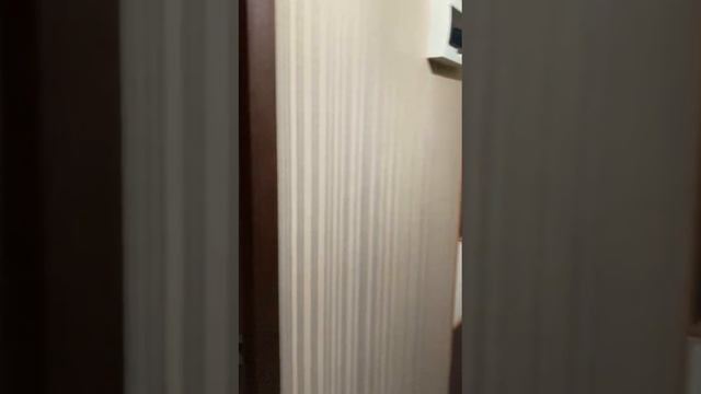 WhatsApp Video 2025-05-01 at 19.40.29