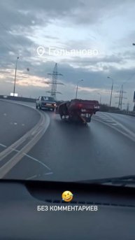 дешево и сердито
