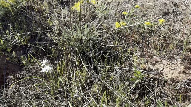 Высота 180.9 Дорогами памяти