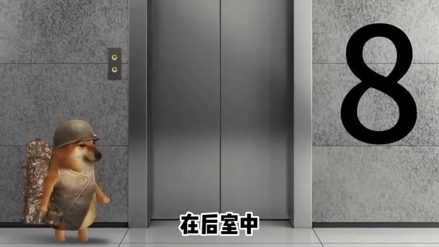 一口气看完【勇闯后室】：小伙为了巨额奖金按下按钮，进入了后室的世界，开始了刺激的后室挑战！【酸辣土狗丝】