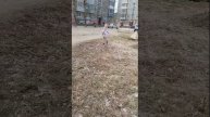 Кто за нами следит?