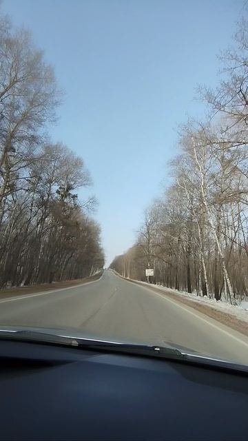 Едем к реке Уссури в районе Хикцирского заповедника