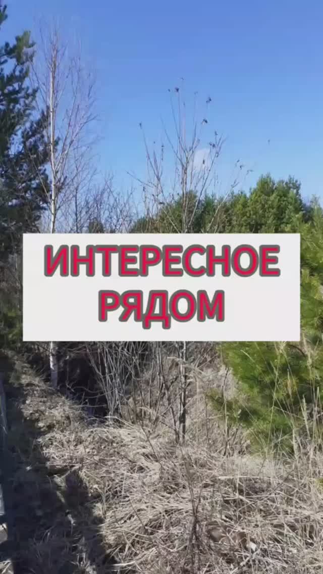 Интересное рядом