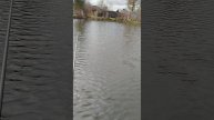 персое видео рыбалки