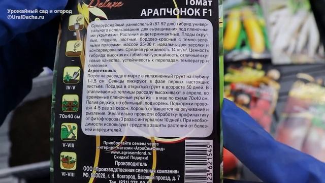Как избежать вытягивания рассады. Обзор лучших сортов томатов на 2025 год