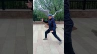тайцзи цюань .расчесать гриву дикой лошади.