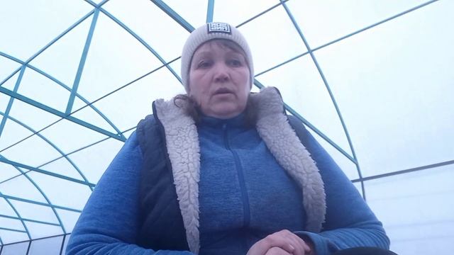 моя схема обробок полуниці