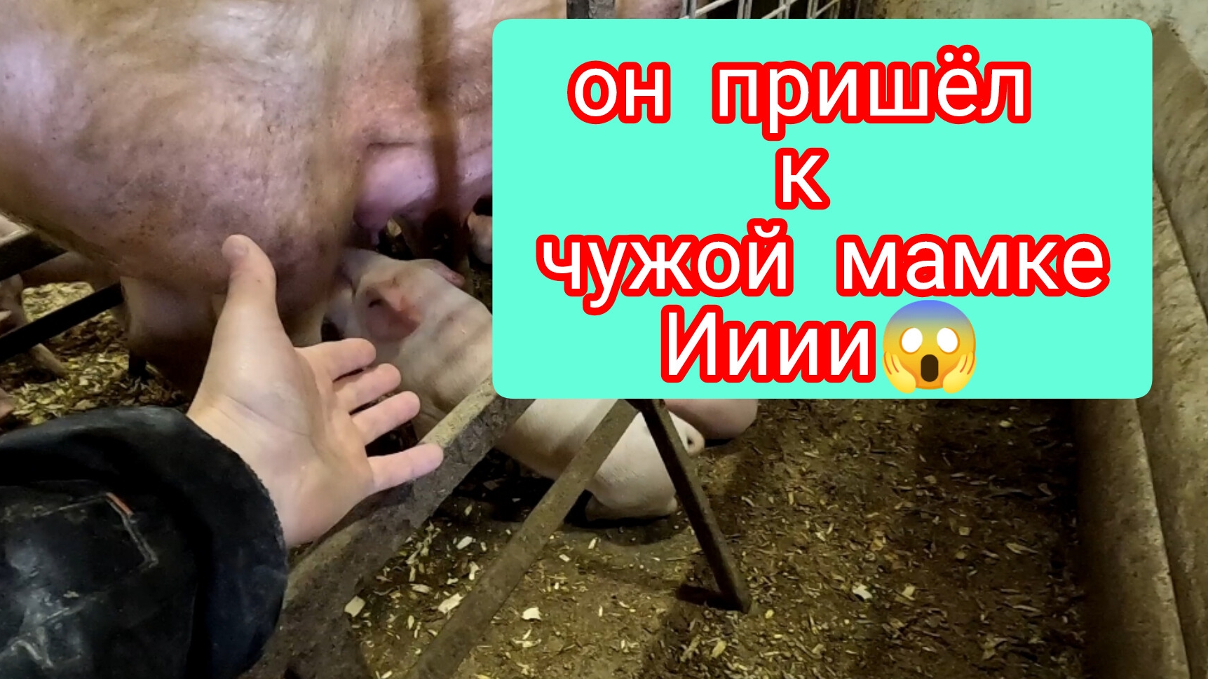 Пришёл к чужой "тёте" 😱 этого не должно было произойти