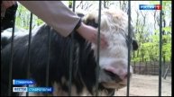 Парк Победы в Ставрополе открывает сезон
