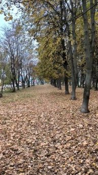 Аллея осенью