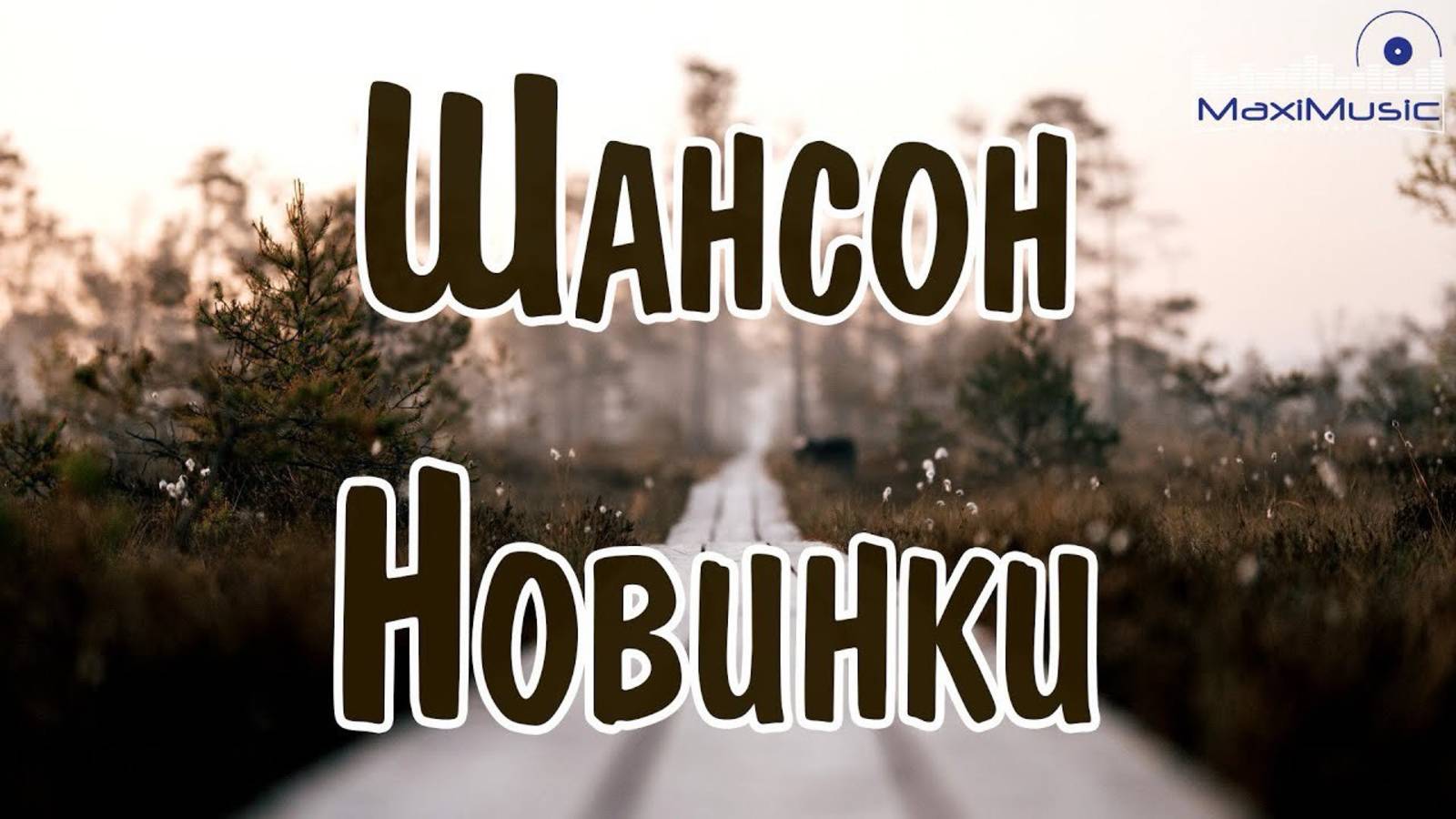 ЛУЧШИЕ НОВЫЕ ХИТЫ ШАНСОНА 😎 Лучшие песни шансона 🔥ШАНСОН МУЗЫКА