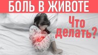 У РЕБЕНКА БОЛИТ ЖИВОТ ЧТО ДЕЛАТЬ | Причины и лечение болей в животе у ребенка