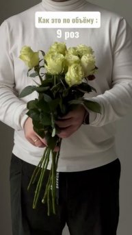 Роза 1,7 и более, как это выглядит реально?