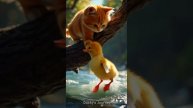 Kitten Saves A Drowning Baby Duck #animalrescue #babyduck #kitten
