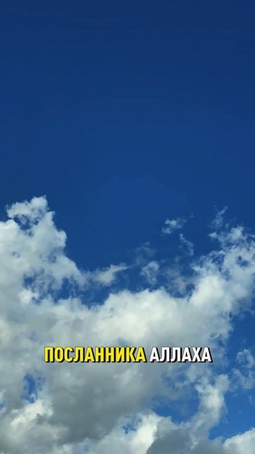 Проповедь #shorts