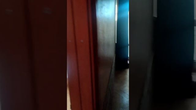 VID_20250501_202428_005.mp4