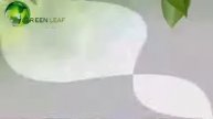 Greenleaf презентация за 1 минуту.