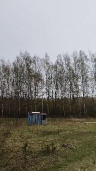 Весь день дул холодный восточный ветер