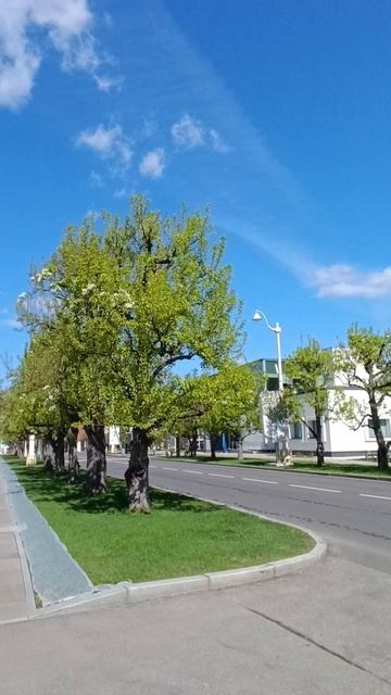 Кольцевая дорога. ВДНХ