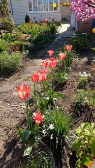 Всех с праздником Друзья 🌷🤗