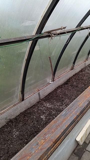 грядка под 🍅.