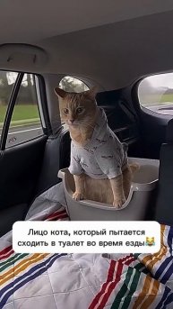 😂😂😂