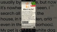 1000007456.mp4