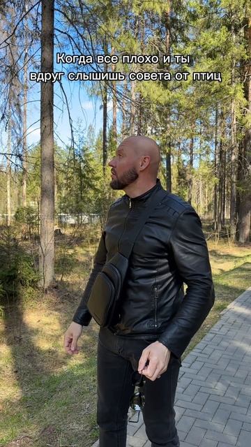 Птиц надо слушать