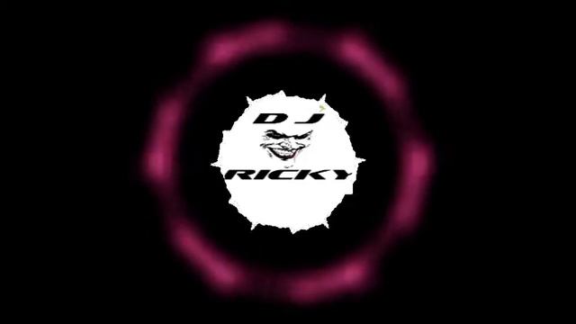 The papi song mix by Dj Ricky from chikhli