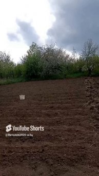 Растяжка.ФитнесАгроМарофон