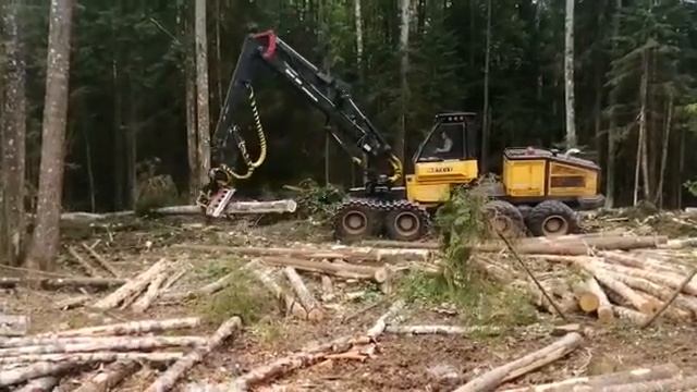 Работа харвестера Metsis 608 H ООО РубимЛес