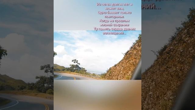 🕊️ 🌿 ЛЕТИТ ЛЮБОВЬ ♥️ 
#видеостихи #музыка_для_души