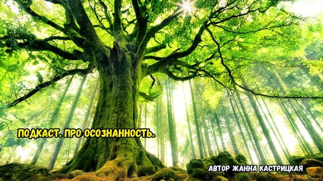 Подкаст. Про осознанность.