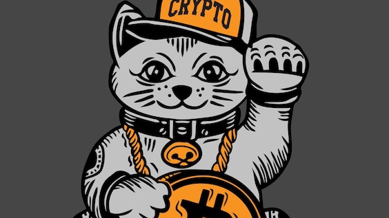 Кот🐈 Кокос. Спартак-Динамо. Гол в свои ворота.