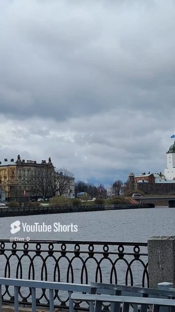 Выборг 29.04.2025. Ветренно и холодно.