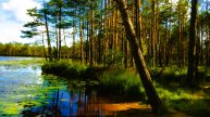 Красивые озёра,реки и водоёмы.