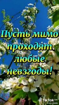 С 1 мая!✨🌸🔥🌹
