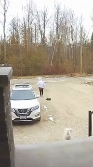 Ну... вот и погуляли...