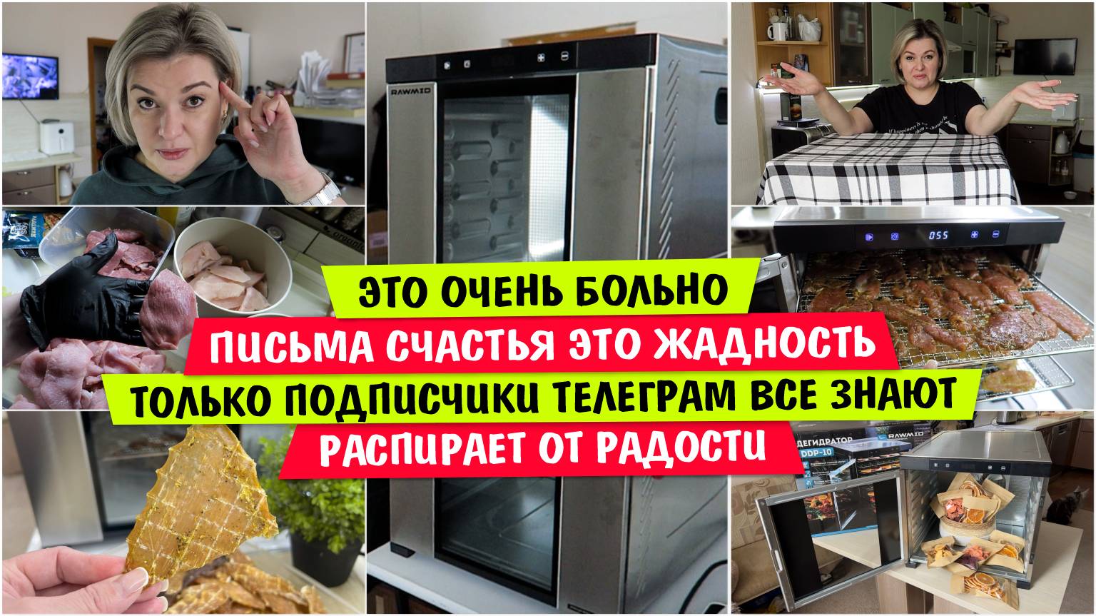 Подписчики ТЕЛЕГРАМ ВСЕ ЗНАЮТ / Это ОЧЕНЬ БОЛЬНО / ЖАДНОСТЬ / Дегидратор RAWMID PRO2 DDP-10