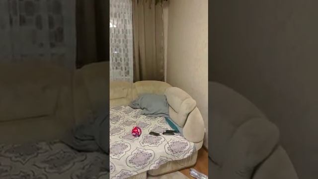 Снежка играется