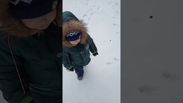 Выпал первый снег
