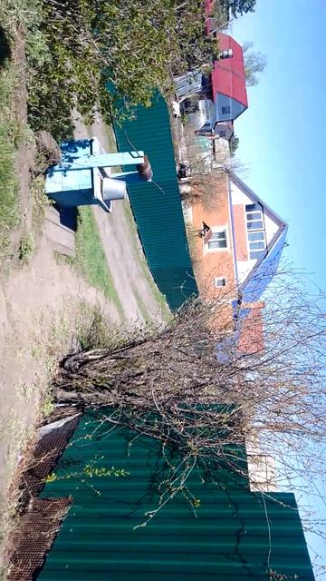 VID_20250501_115928