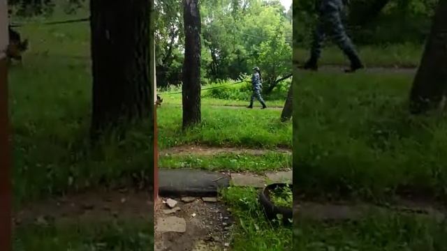 Июль 2020